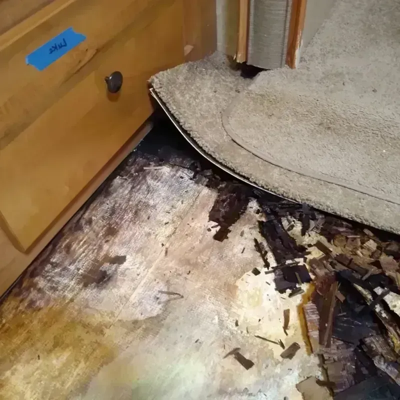 Wood Floor Water Damage in Grand Boulevard, IL